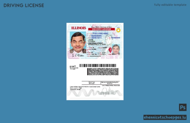 USA Illinois Führerscheinbeispiel